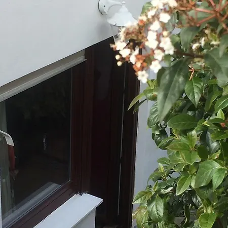 Apartmán Rosengarten Wachtberg