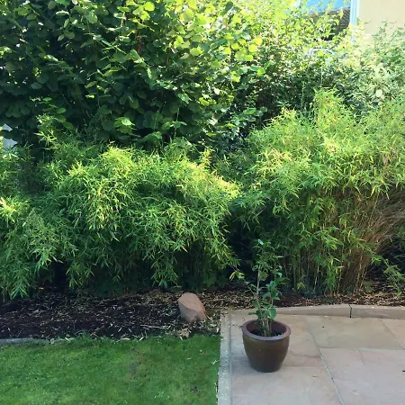 Rosengarten * Wachtberg