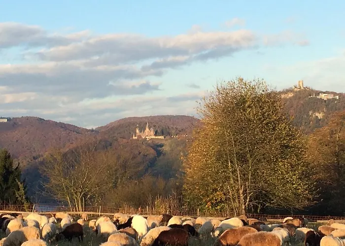 Rosengarten Wachtberg