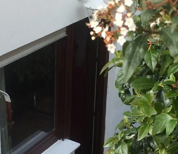 Apartman Rosengarten Wachtberg