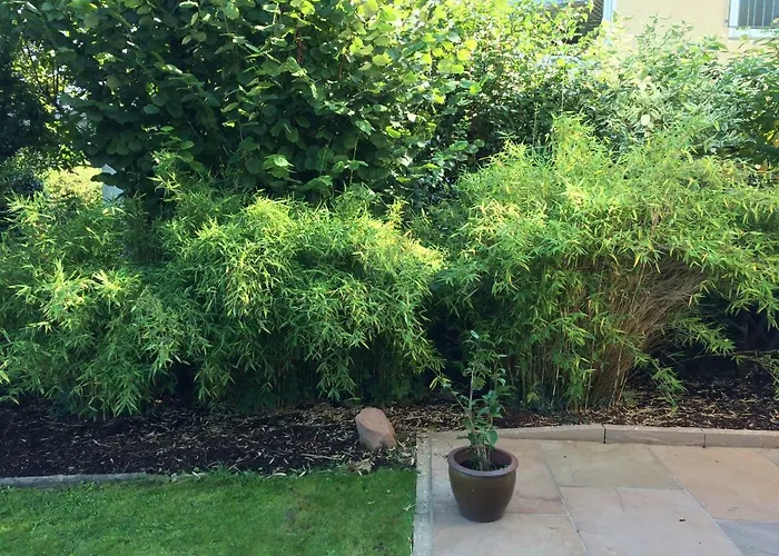 Rosengarten * Wachtberg